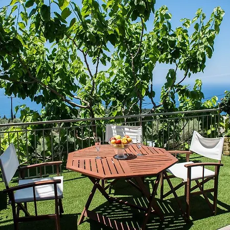 Apartman Aloni &